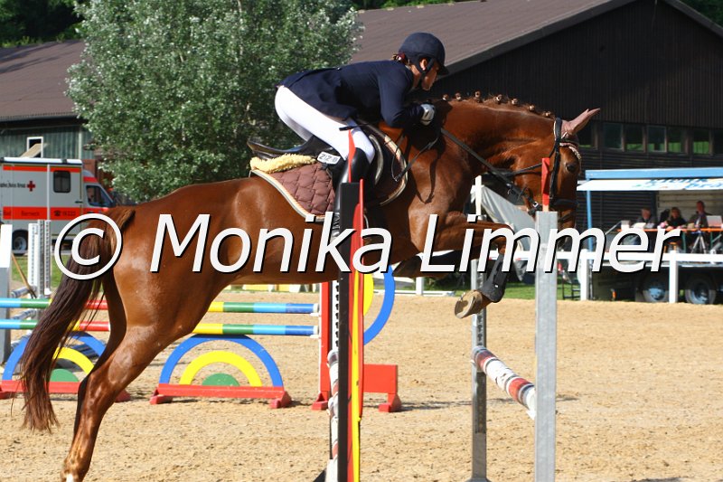 006M6416_Melody of Dream_Springpferde A.JPG